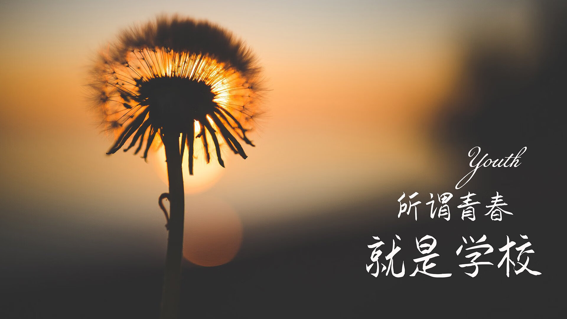 实力雄厚！欧洲球队展现出色技术压倒性取胜，欧洲 球队