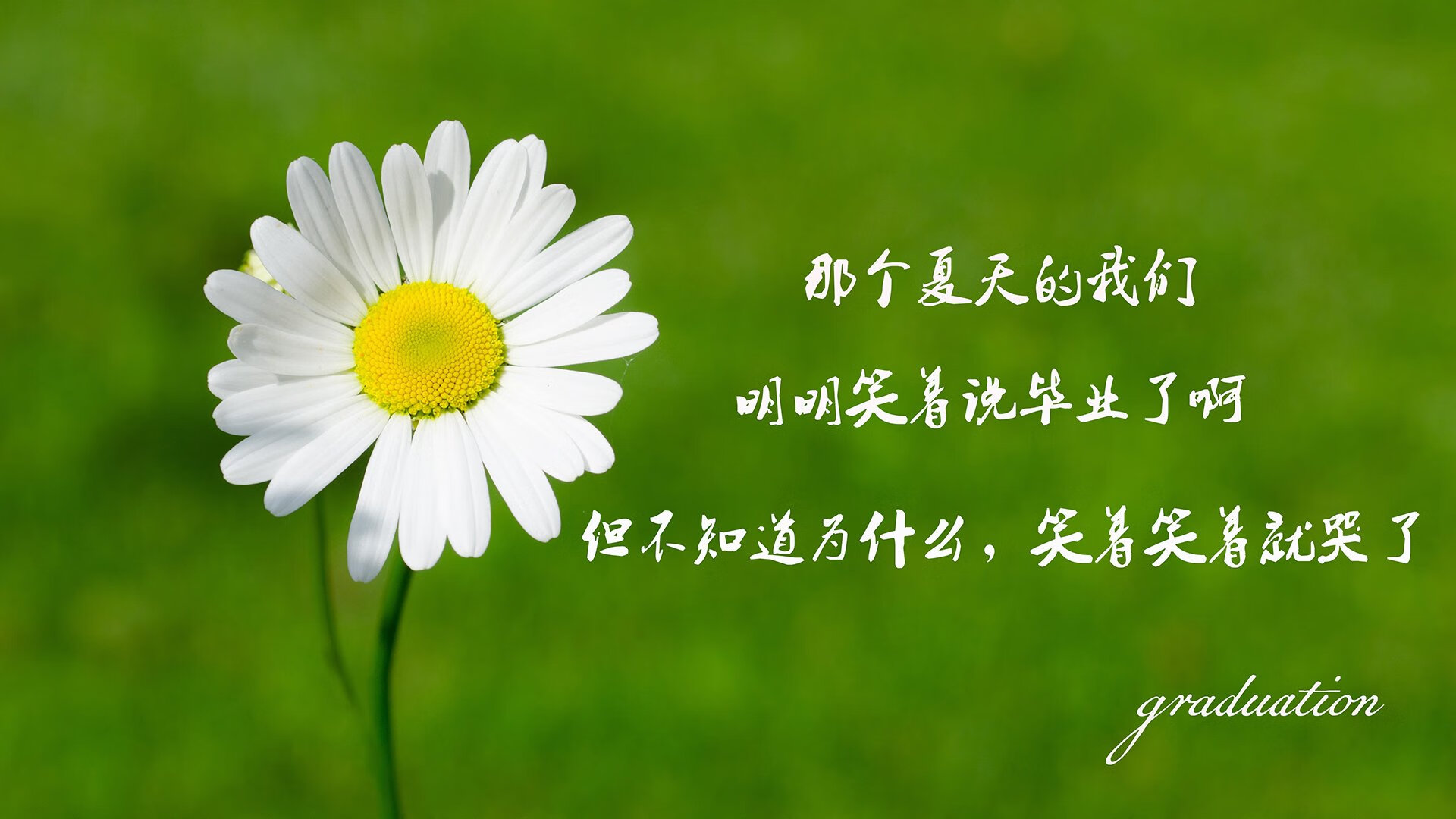联盟是否应推出多样化球员精神支持系统