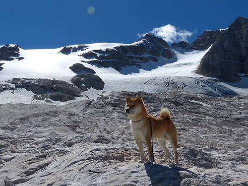 篮球运动员专项体能训练课程体系建设与完善，篮球运动员体能训练计划