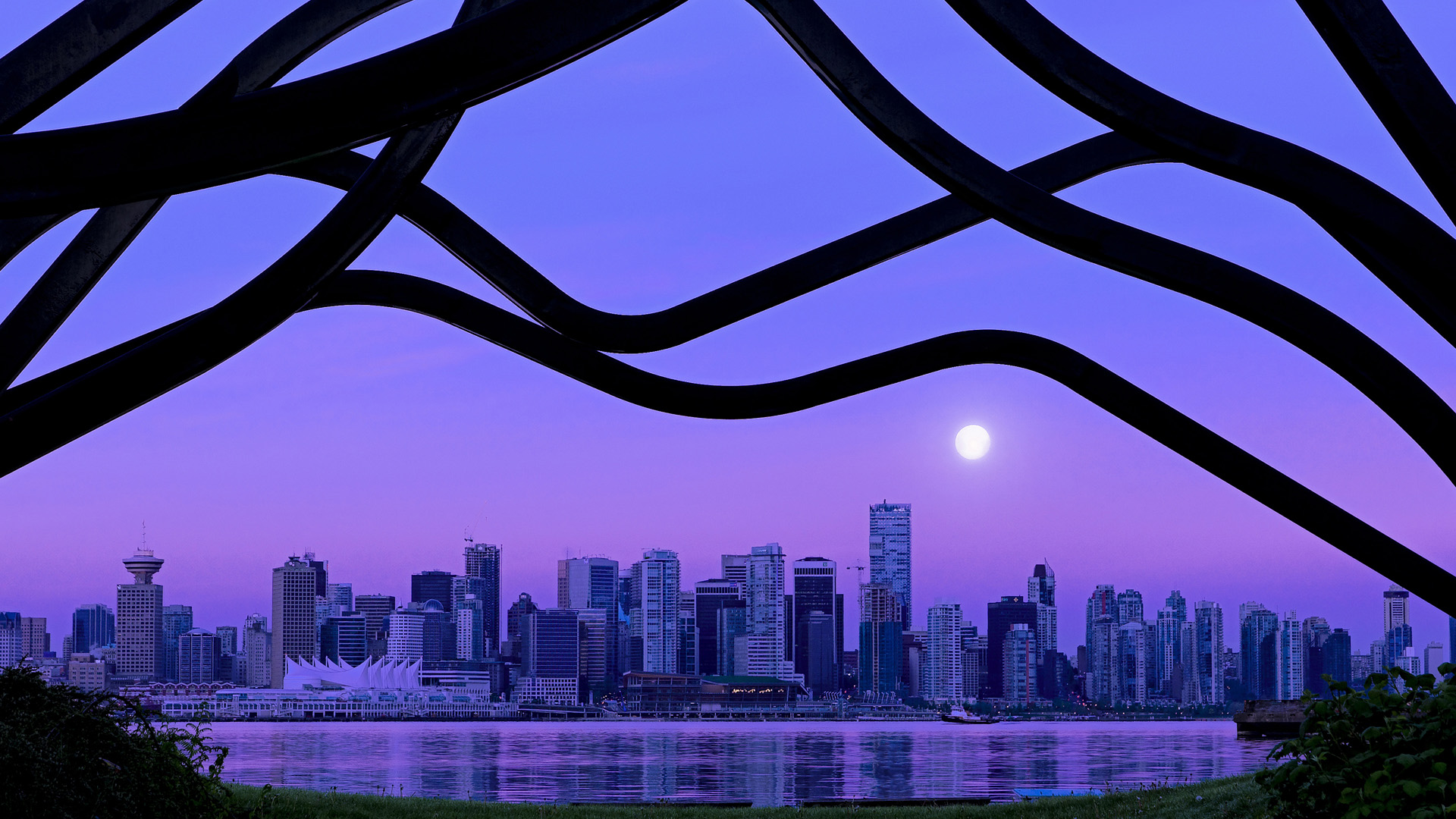 青少年专项运动技能训练计划设计与评估研究,青少年运动技能等级证书有什么用