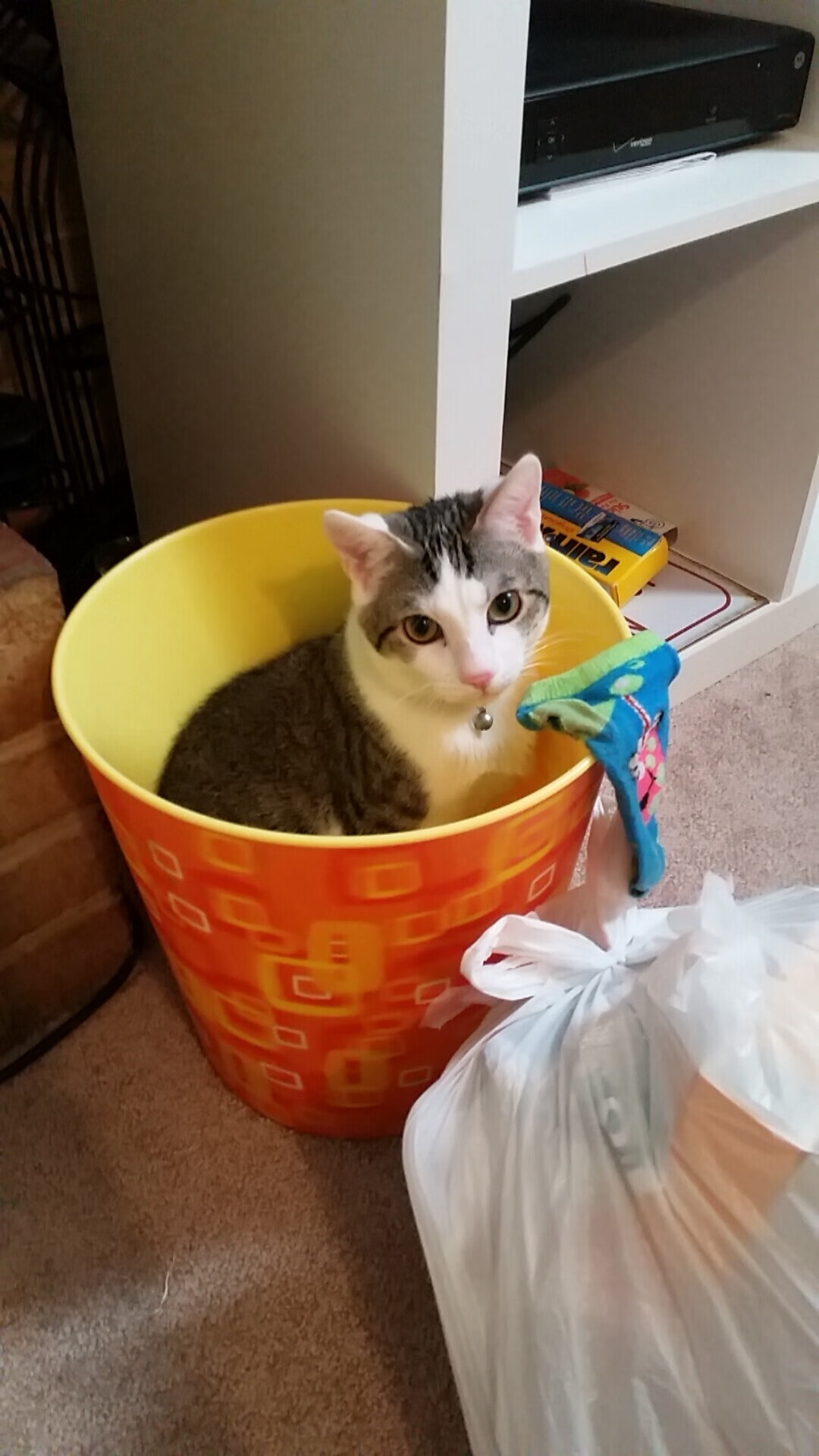 青少年体育运动安全教育体系构建研究，青少年体育教育的重要性