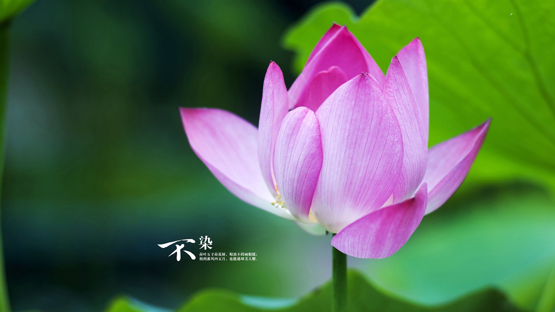 九游娱乐中心-CBA多支球队加大教练团队力量 优化训练计划，cba教练训话