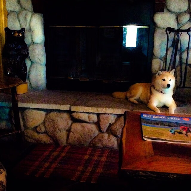 “手球与合球：沙滩赛场双项竞技燃爆天府新区”