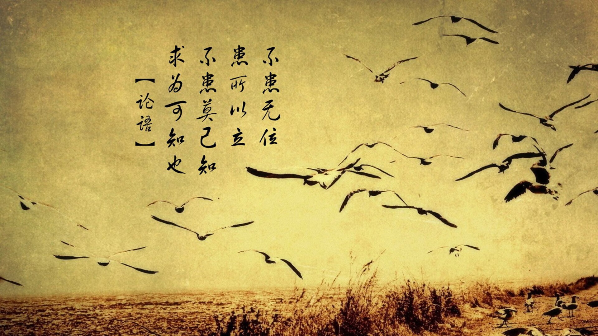 乌兰多蝶泳后程发力引关注