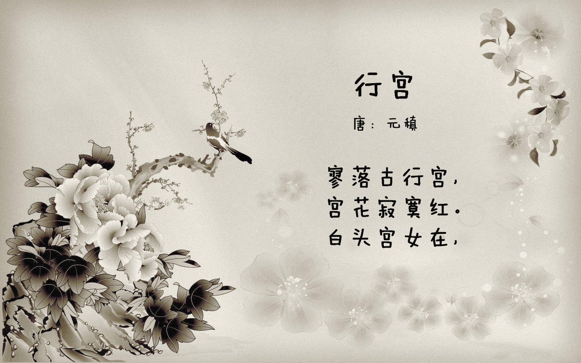 女子足球联赛全新赛季开启，女子足球2021