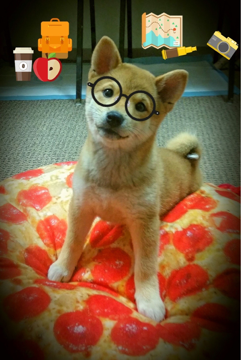 比赛节奏控制决定胜负，比赛节奏控制决定胜负吗