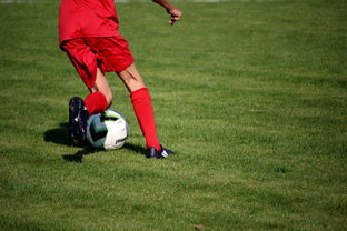 JIU YOU GAME-鹈鹕青训体系被评为联盟样板项目，鹈鹕原来是哪个队